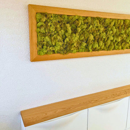 Moosbild im Eichenrahmen – Handgefertigtes Wandbild aus konserviertem Islandmoos