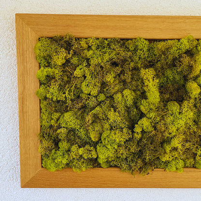 Moosbild im Eichenrahmen – Handgefertigtes Wandbild aus konserviertem Islandmoos