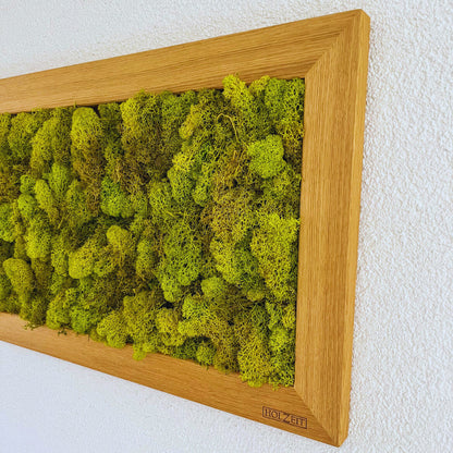 Moosbild im Eichenrahmen – Handgefertigtes Wandbild aus konserviertem Islandmoos