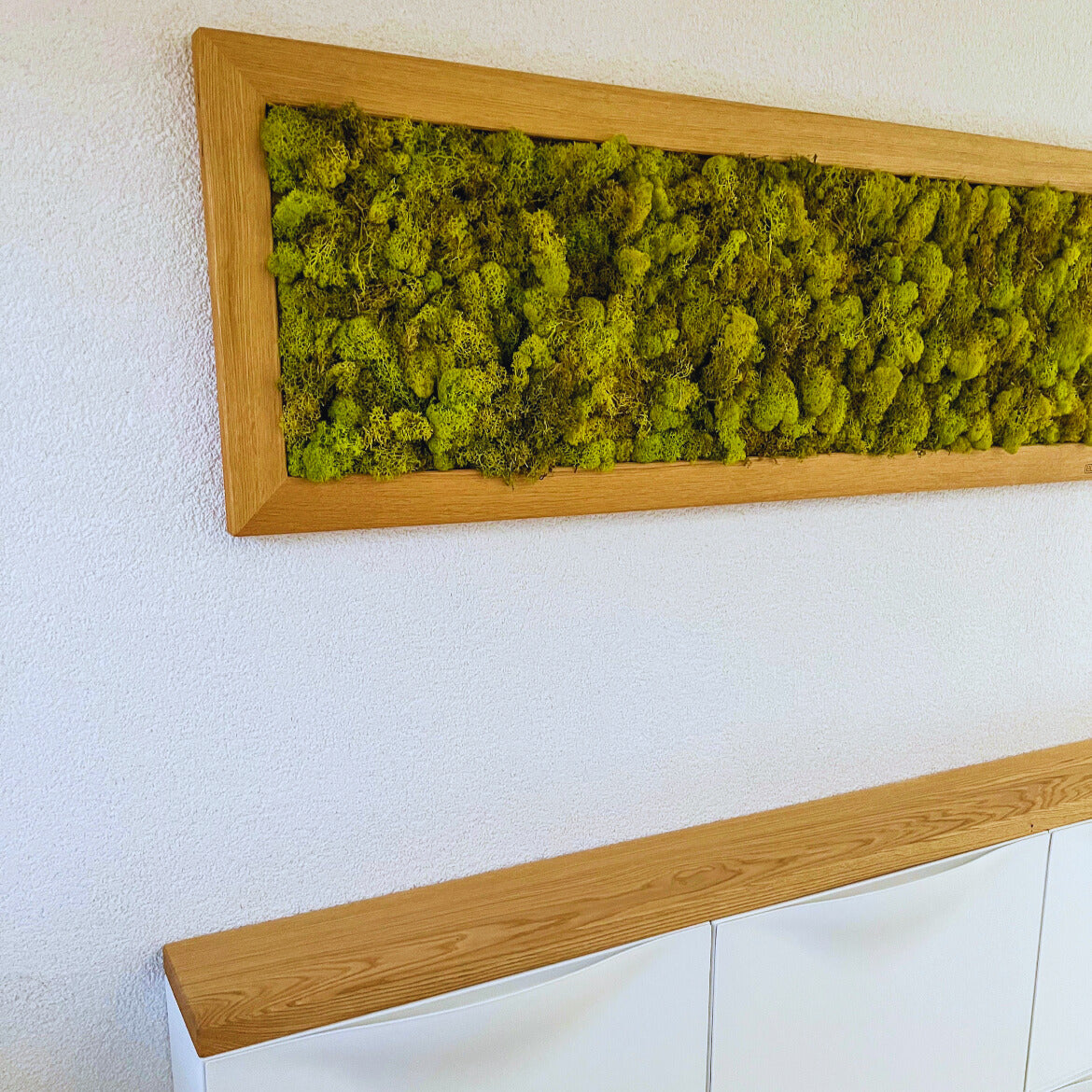 Moosbild im Eichenrahmen – Handgefertigtes Wandbild aus konserviertem Islandmoos