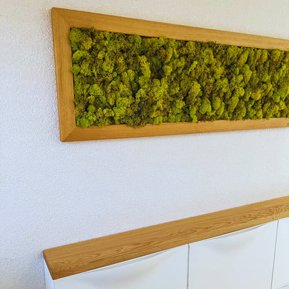 Moosbild im Eichenrahmen – Handgefertigtes Wandbild aus konserviertem Islandmoos